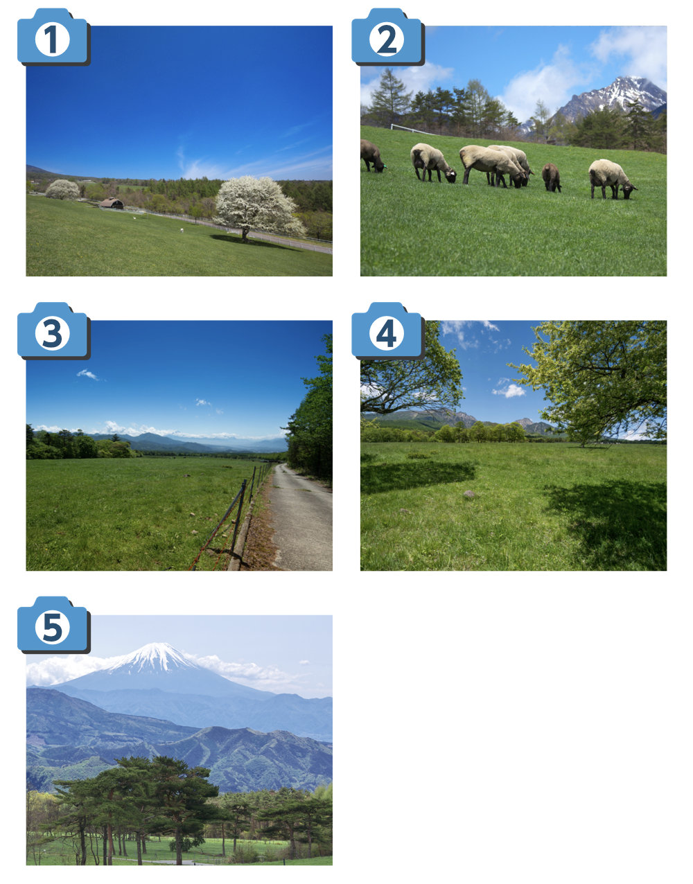 撮影ポイント画像