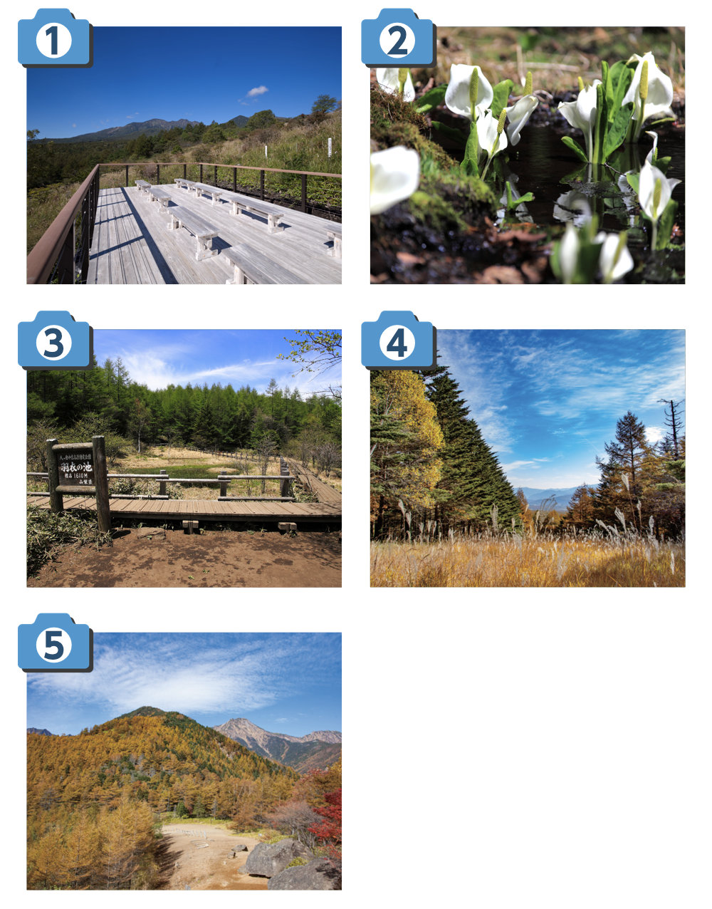 撮影ポイント画像