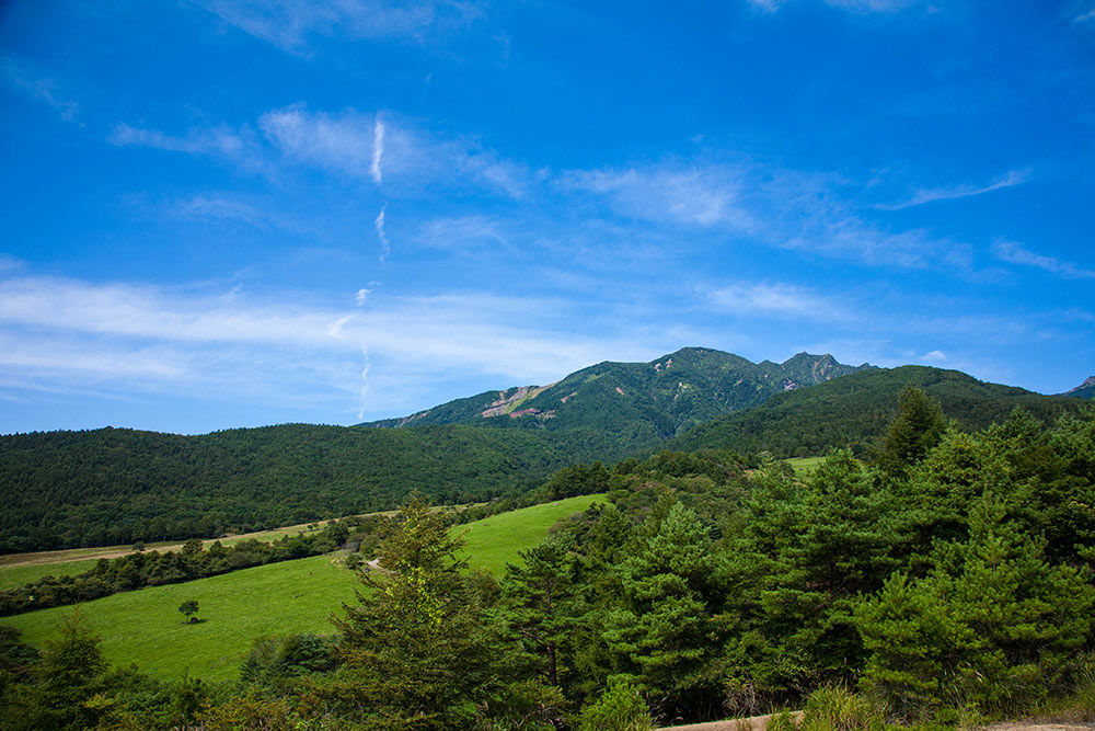 美し森 〜 天女山コース