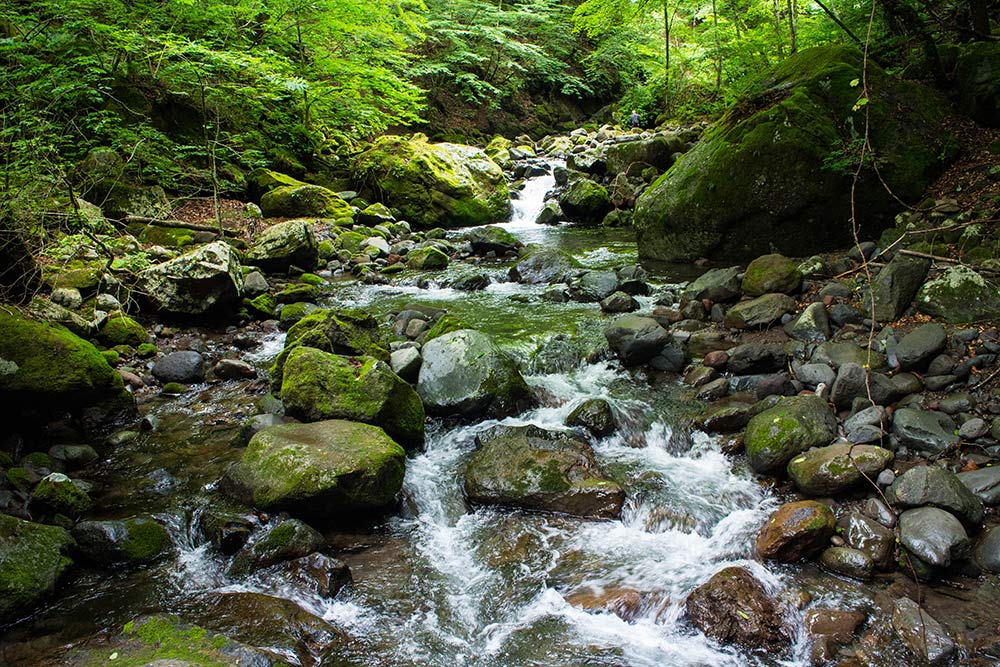 E.川俣川渓谷コース