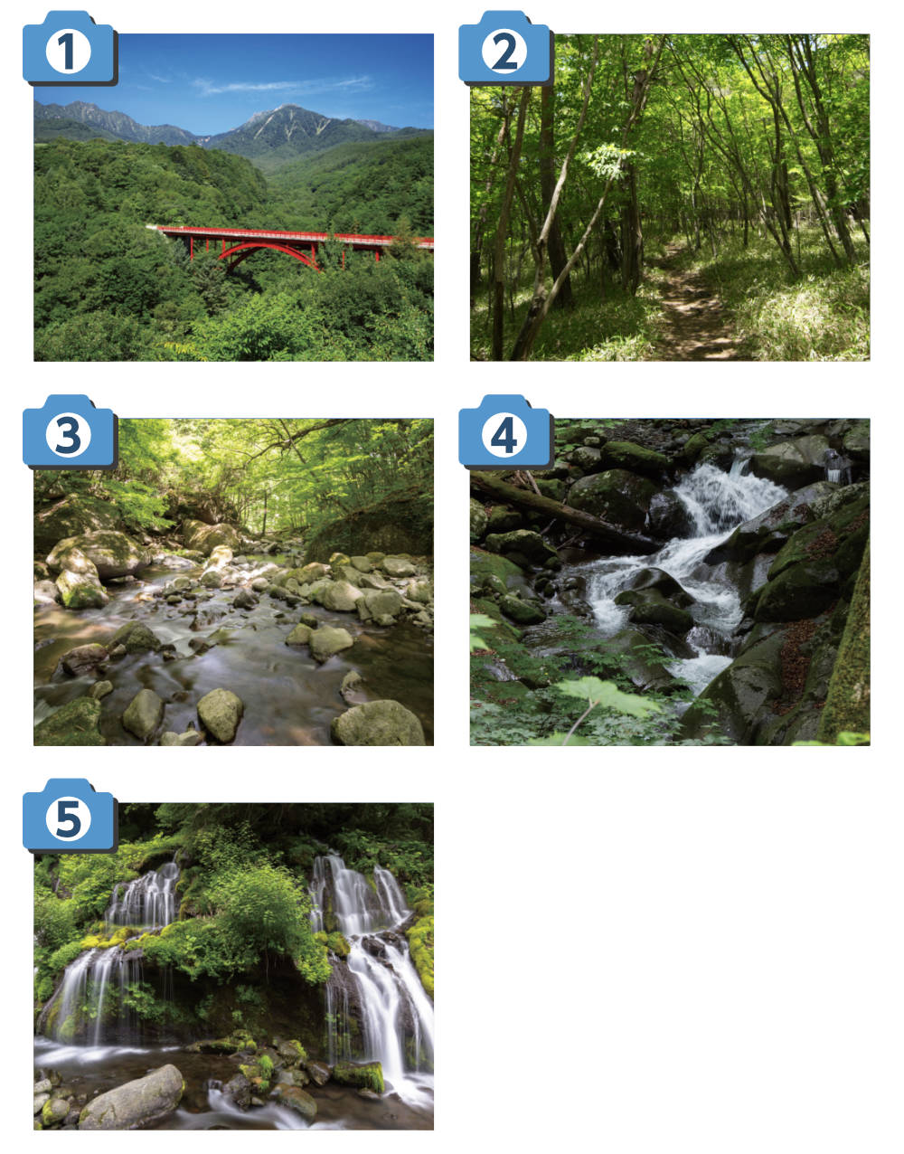 撮影ポイント画像