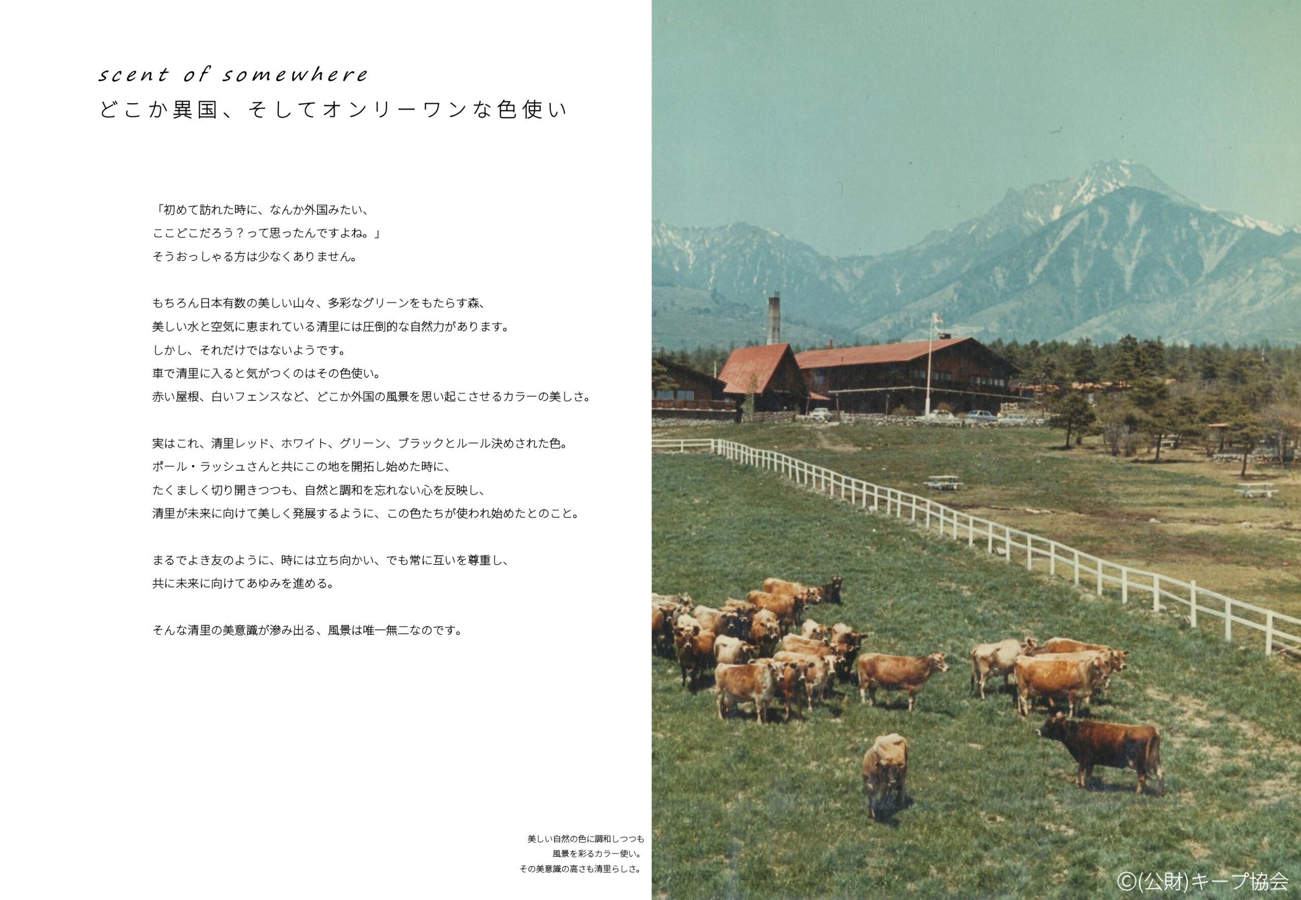 scent of somewhere
どこか異国、そしてオンリーワンな色使い