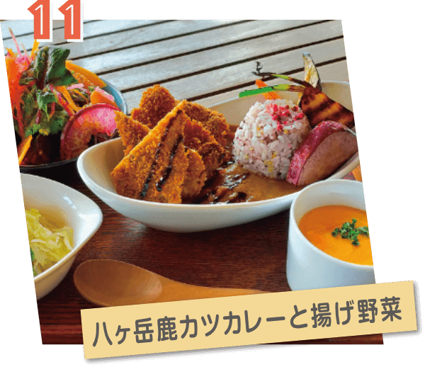 農園レストランUMAGOYA(うまごや)・八ヶ岳鹿カレーと揚げ野菜